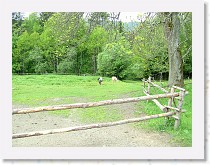 dscf0376 * 2848 x 2136 * (1.62MB)