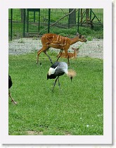 dscf0440 * 2136 x 2848 * (1.54MB)