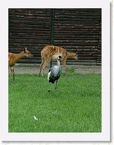 dscf0441 * 2136 x 2848 * (1.53MB)