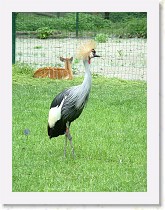 dscf0442 * 2136 x 2848 * (1.57MB)