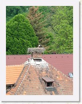 dscf0458 * 2136 x 2848 * (1.52MB)