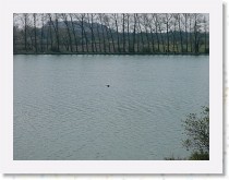 p1000712 * 2816 x 2112 * (1.76MB)