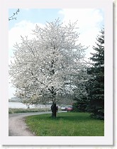 p1000717 * 2816 x 2112 * (1.81MB)