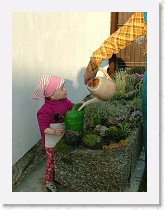 dscf0311 * 2136 x 2848 * (1.44MB)