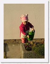 dscf0313 * 2136 x 2848 * (1.48MB)