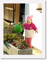 dscf0316 * 2136 x 2848 * (1.72MB)