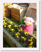 dscf0317 * 2136 x 2848 * (1.6MB)