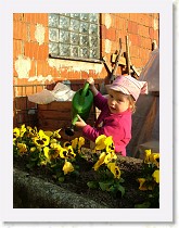 dscf0318 * 2136 x 2848 * (1.53MB)