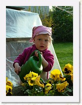 dscf0319 * 2136 x 2848 * (1.55MB)