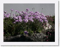 p1000744 * 2816 x 2112 * (2.16MB)