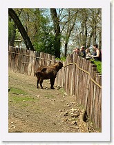 dscf0288 * 2136 x 2848 * (1.51MB)