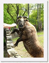 dscf0290 * 2136 x 2848 * (1.49MB)