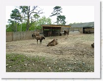 dscf0292 * 2848 x 2136 * (1.79MB)