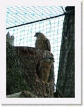 dscf0300 * 2136 x 2848 * (1.67MB)