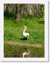 dscf0308 * 2136 x 2848 * (1.57MB)
