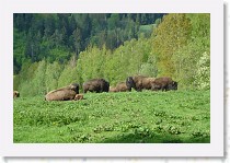 dsc08554 * 2592 x 1728 * (2.39MB)