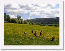 p5070935 * Deti objevily pampeliskovou louku * Deti objevily pampeliskovou louku * 2917 x 2191 * (1.34MB)