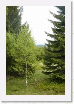 dsc08604 * 1728 x 2592 * (2.29MB)