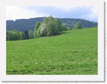 img_8417 * 2592 x 1944 * (3.11MB)