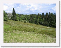 img_8435 * 2592 x 1944 * (3.21MB)