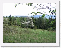 img_8436 * 2592 x 1944 * (2.81MB)