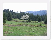img_8440 * 2592 x 1944 * (2.35MB)