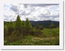 p5091289 * 3072 x 2304 * (1.63MB)
