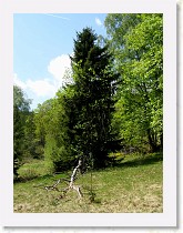 p5091346 * 2304 x 3072 * (1.25MB)