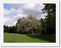 p5091352 * 3072 x 2304 * (1.64MB)