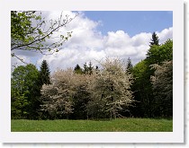 p5091356 * 2824 x 2121 * (1.23MB)