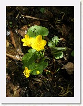 p5091374 * 2304 x 3072 * (1.07MB)