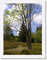 p5091397 * 2304 x 3072 * (1.44MB)