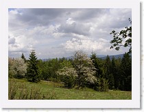 p5091410 * 2807 x 2105 * (1.21MB)