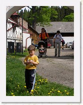 P5101566 * 2304 x 3072 * (1.43MB)