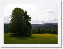 P5101601 * 3072 x 2304 * (950KB)