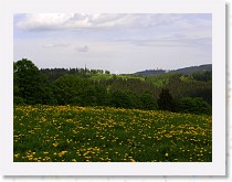 P5101622 * 3072 x 2304 * (986KB)