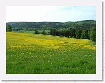 dscf1912 * 2848 x 2136 * (1.77MB)