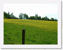 dscf1913 * 2848 x 2136 * (1.87MB)