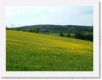 dscf1914 * 2848 x 2136 * (1.78MB)