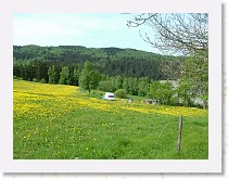 dscf1915 * 2848 x 2136 * (1.66MB)
