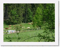 dscf1916 * 2848 x 2136 * (1.57MB)