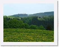 dscf1926 * 2848 x 2136 * (1.75MB)