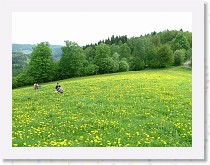 dscf1937 * 2848 x 2136 * (1.85MB)