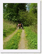 dscf1966 * 2136 x 2848 * (1.61MB)