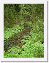 dscf1968 * 2136 x 2848 * (1.6MB)