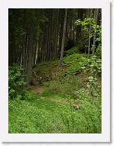 dscf1970 * 2136 x 2848 * (1.51MB)