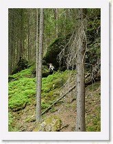 dscf1971 * 2136 x 2848 * (1.52MB)