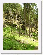 dscf1981 * 2136 x 2848 * (1.6MB)