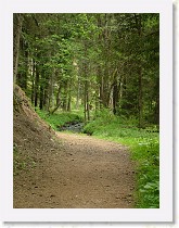 dscf1983 * 2136 x 2848 * (1.54MB)
