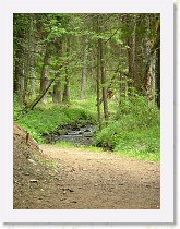 dscf1984 * 2136 x 2848 * (1.55MB)